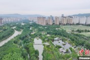 占卦问卜西宁市举办六五环境日主题宣传活动