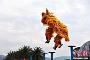 占卦问卜（文化中国行）壮乡狮舞闯南洋：脚踏“云桩” 饮誉海内外